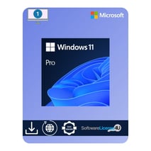 Windows 11 Professional-licens